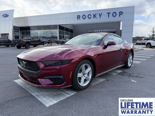 2026 Ford Mustang EcoBoost