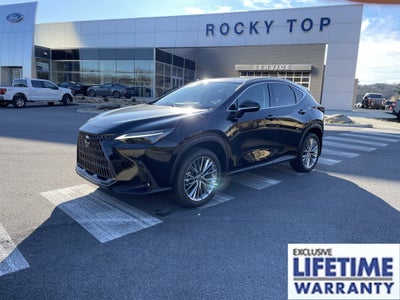 2023 Lexus NX NX 350 Luxury