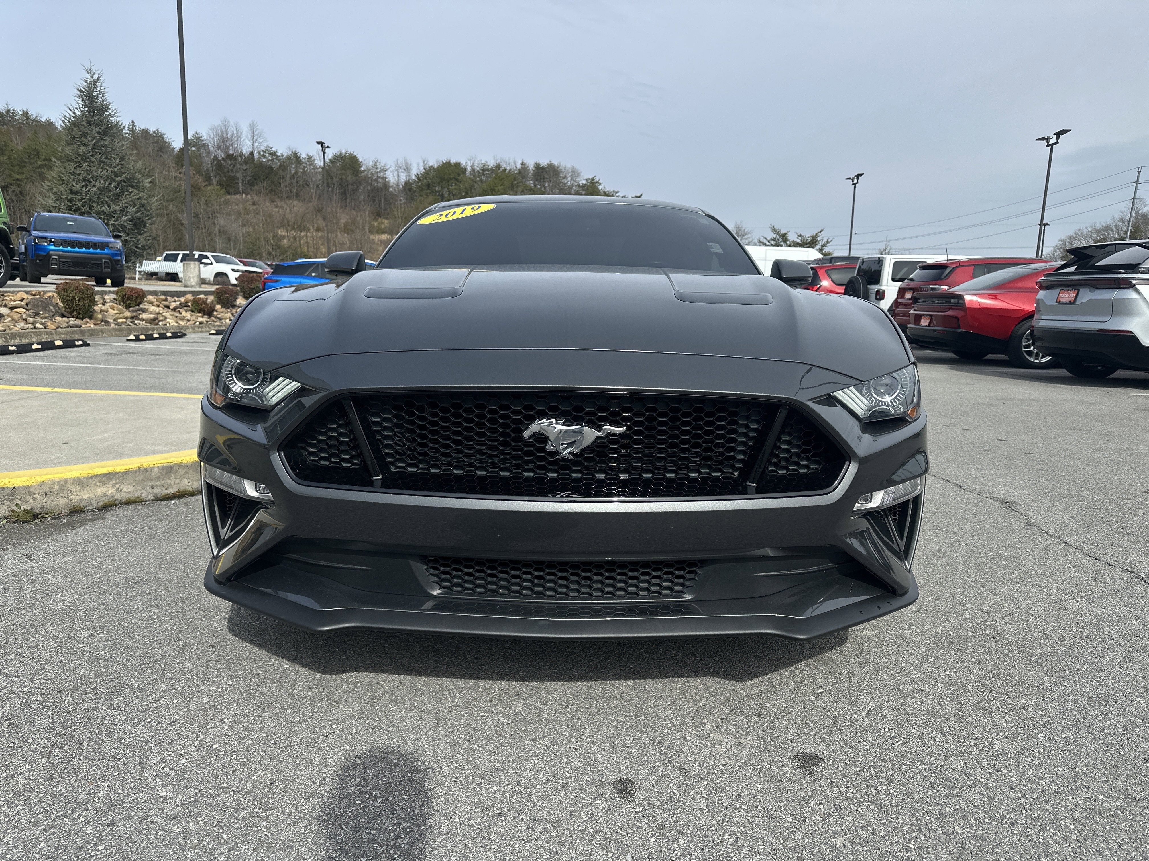2019 Ford Mustang GT Premium