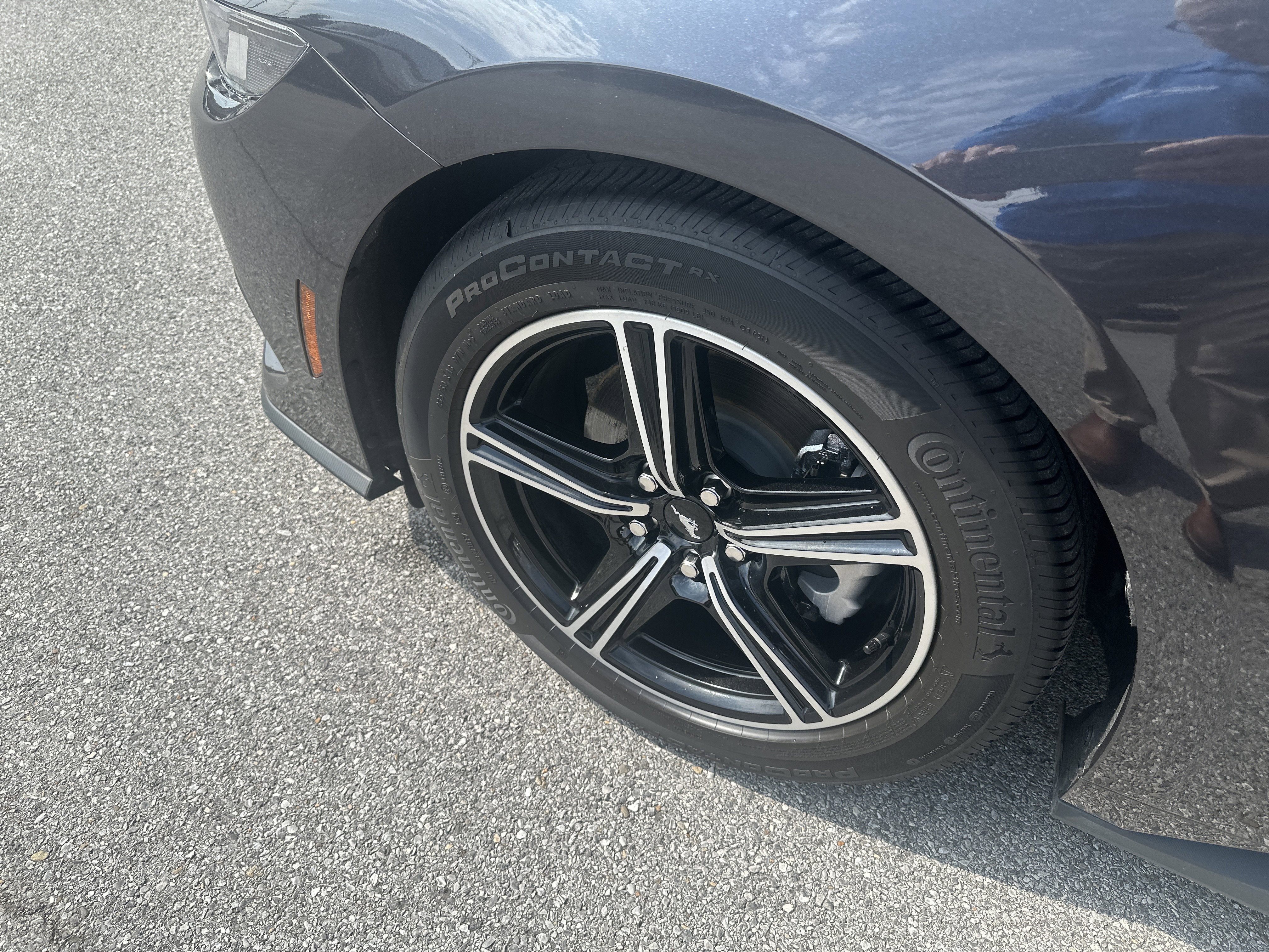 2024 Ford Mustang EcoBoost Fastback