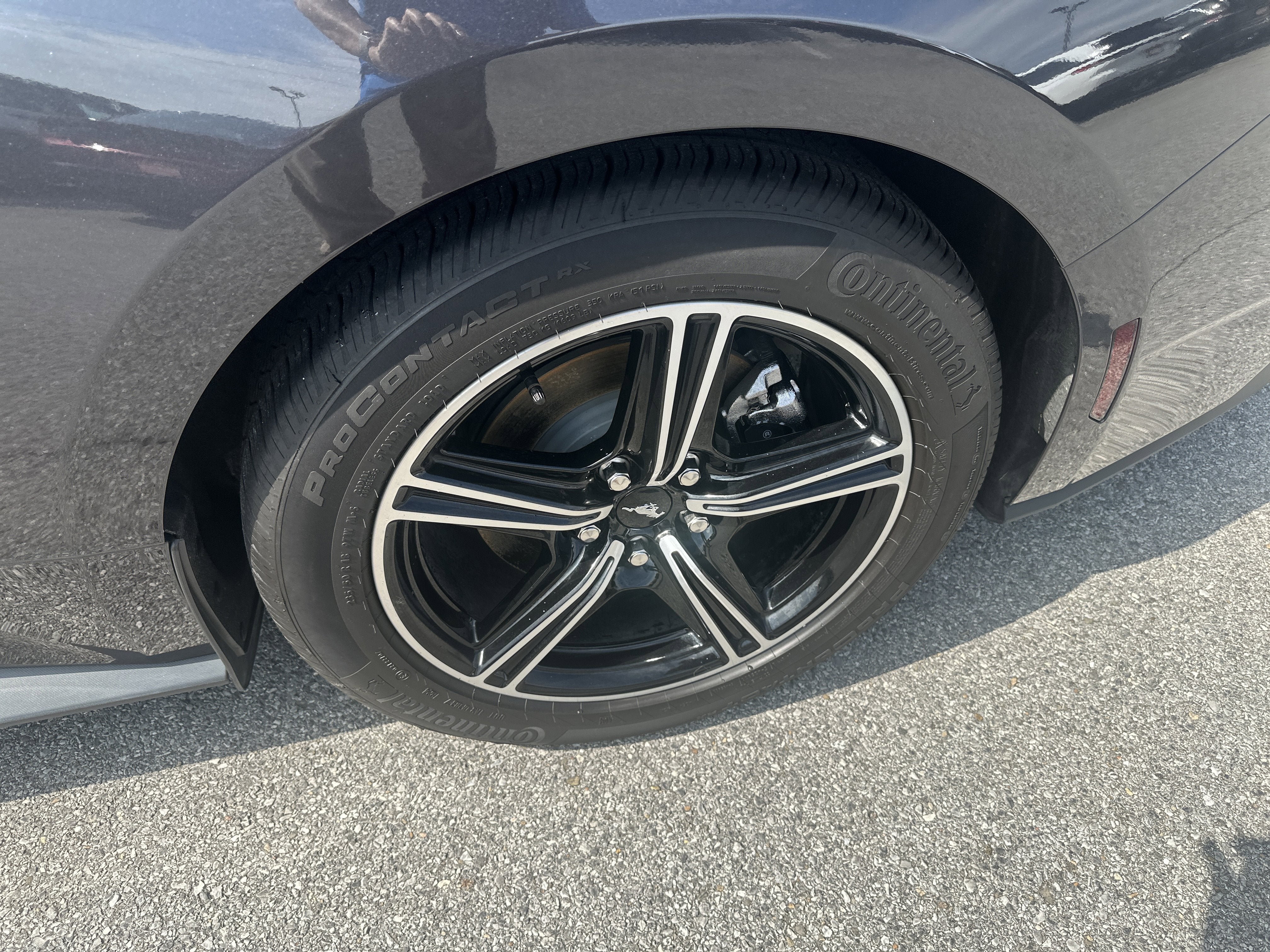 2024 Ford Mustang EcoBoost Fastback