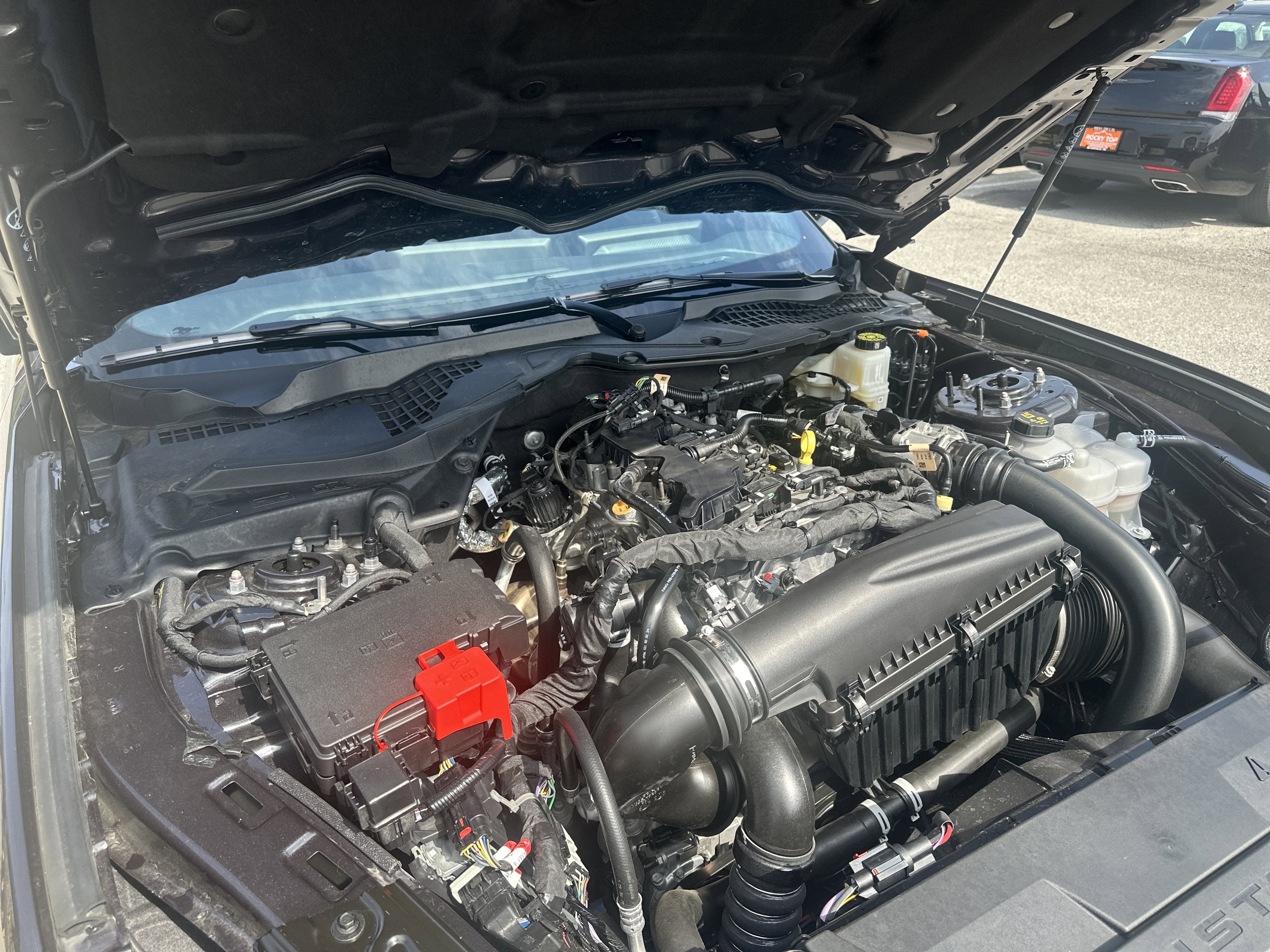 2024 Ford Mustang EcoBoost Fastback